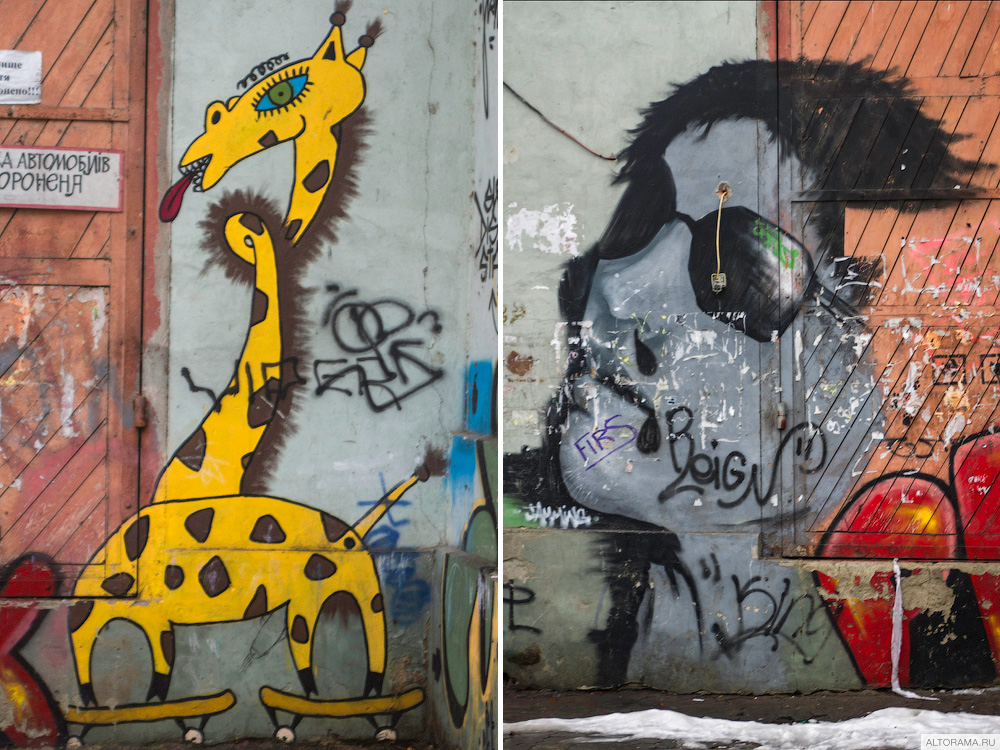 Граффити на стене одного из домов в центре Ужгорода