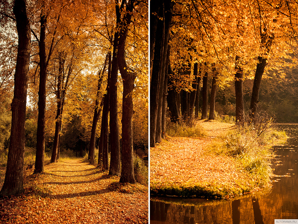 Усадьба Середниково: золотая осень в Лермонтовских местах